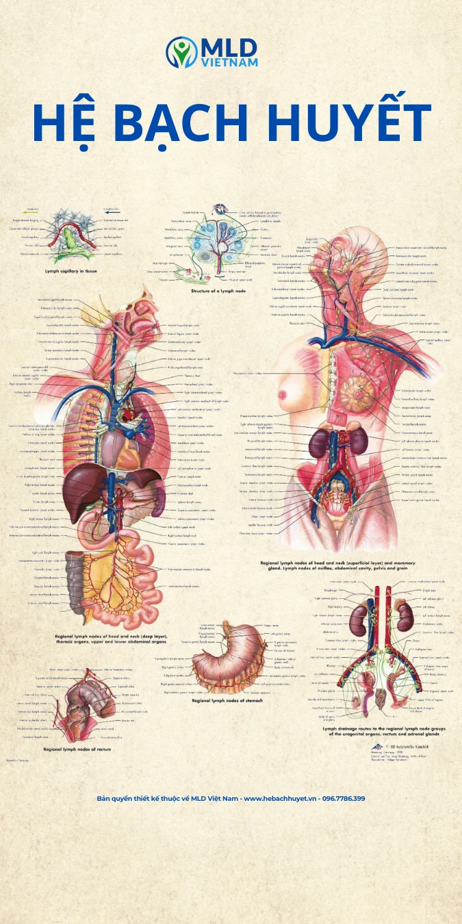 NỘI DUNG CHƯƠNG TRÌNH LEVEL 1